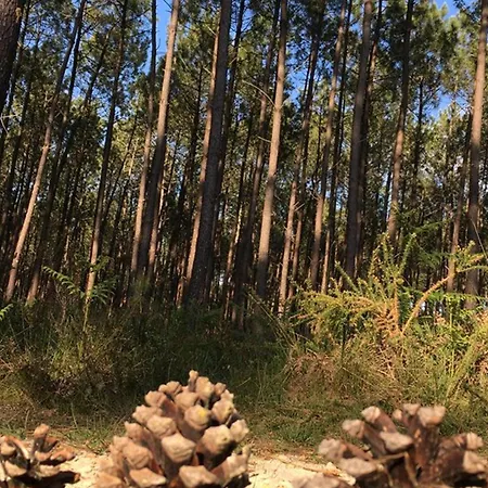 T3 Cosy, 50m De L'océan, Terrasse, Parking Privé - 4 Pers. - Fr-1-379-148 Appartamento *